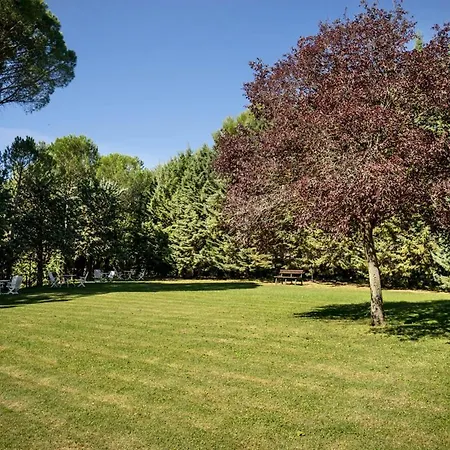 Villa Il Saio, The Relax That You Deserve In Uncontaminated Nature Assisi